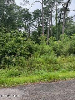 1181 Loraine St, Ocean Springs, MS 39564