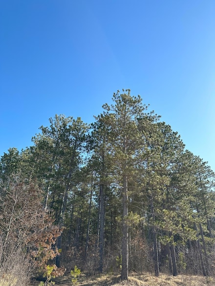 ON Spring Creek Dr Unit 4080-4, Tomahawk, WI 54487