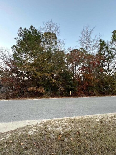 12 Jeffcoat Rd, Wagener, SC 29164