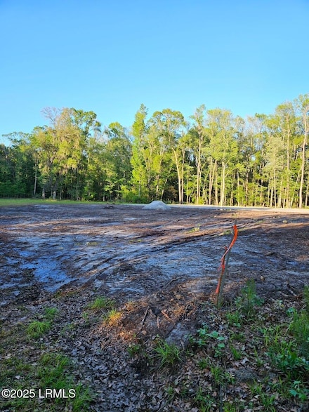 160 Delta Estates Rd, Hardeeville, SC 29927
