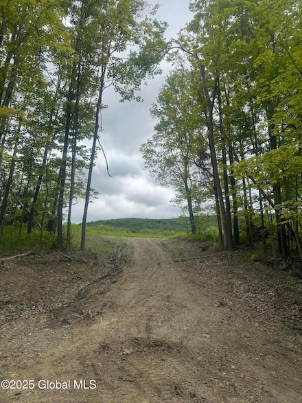40 Plante Ln, Brunswick, NY 12180