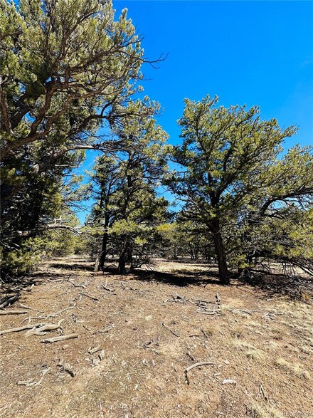 0 Tbd Unit 7325328, Cotopaxi, CO 81223