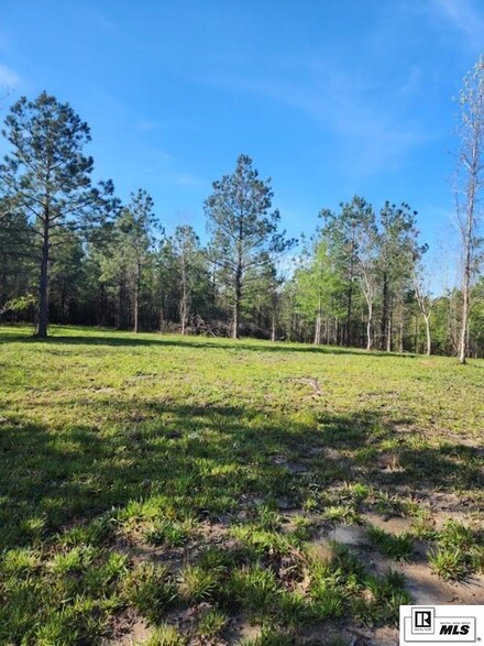 205 Ervin Cotton Rd, Eros, LA 71238