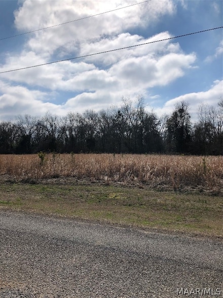 0 Porter Cir Unit 488714, Valley Grande, AL 36703