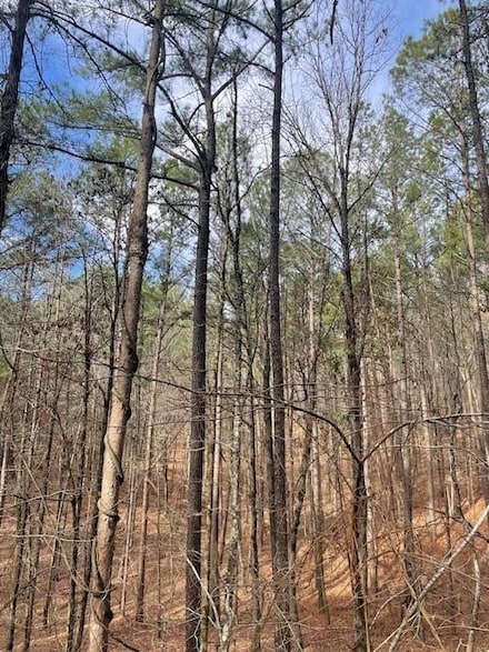 778 Timber Creek Trail South Xl, Broken Bow, OK 74728