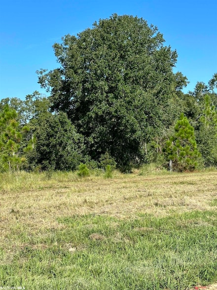 0 Hampton Ridge Ct Unit Lot 23 352181, Mobile, AL 36608
