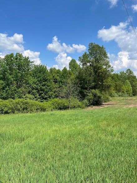 304 39th St, Cheshire Township, MI 49010