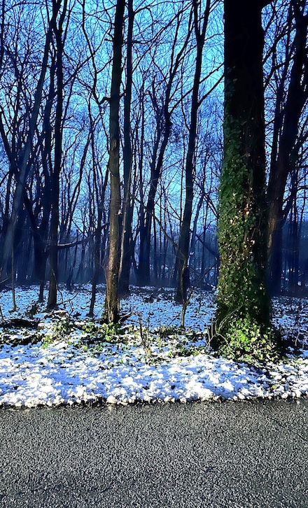 0 N Miller Blvd, Hudson Township, IN 46552