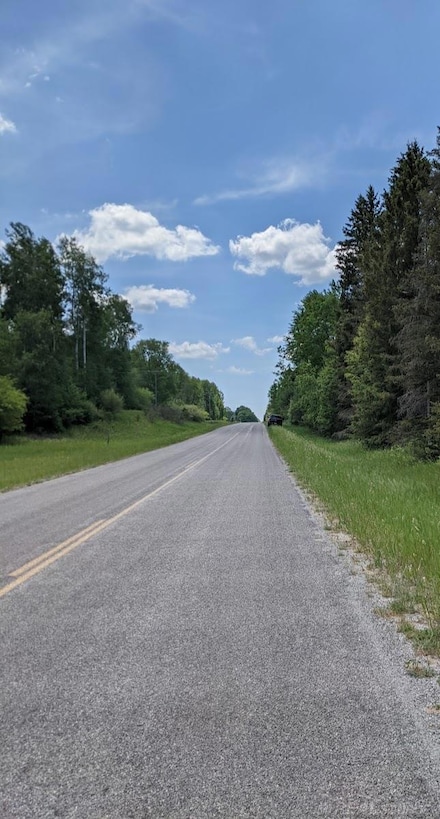 2370 S Coville Rd, Harrisville Township, MI 48740