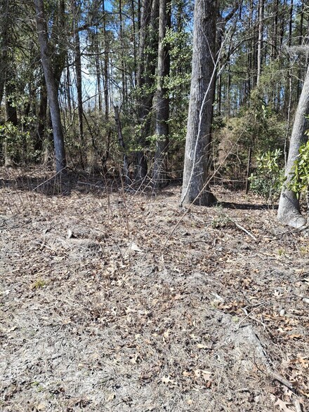 0 County Line Rd Unit 25005898, Ravenel, SC 29470