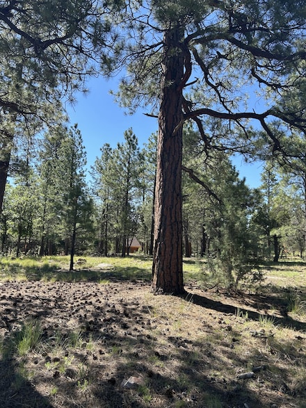 4978 Durango Dr, Happy Jack, AZ 86024