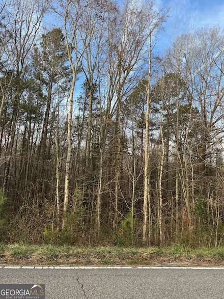 90 Murfee Ln, Hartwell, GA 30643