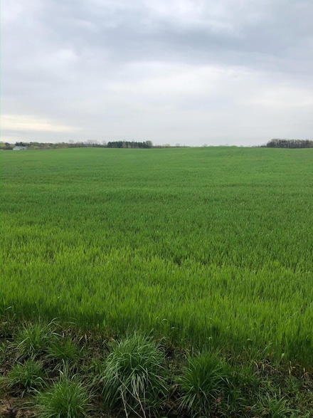 13556 Rosewood Rd NE, Walnut Township, OH 43076