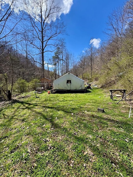 160 Muddy Branch Rd, Blaine, KY 41124