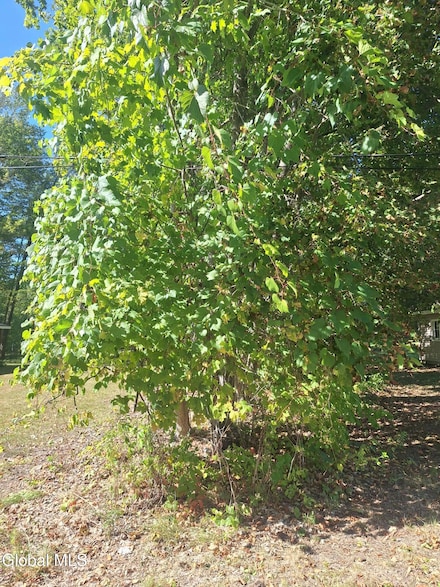 L1 Northern Blvd, Schodack, NY 12033