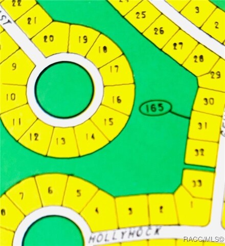 46 Birchtree St, Sugarmill Woods, FL 34446