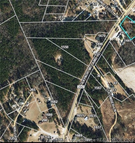 Lot 2 (Sandhill Esta Raynor McLamb Rd, Linden, NC 28356