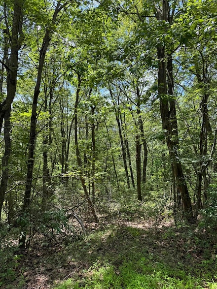 0 Pond Creek Rd, Foster Township, PA 18661