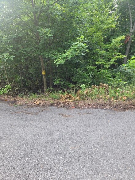 88 SE Rhododendron Trail, Spencer, TN 38585