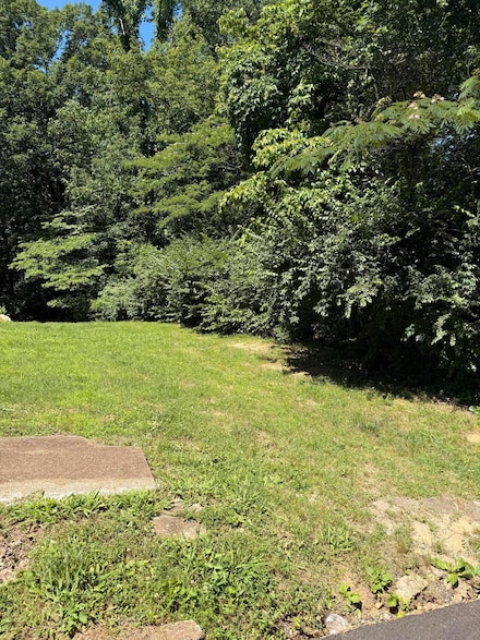 1031 Garnett Ave, Chattanooga, TN 37405