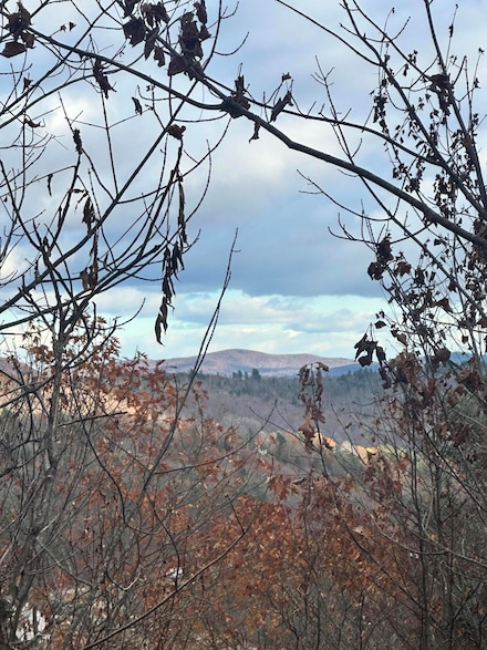 Lot #9 Oak Hill Dr, Woodstock, ME 04219