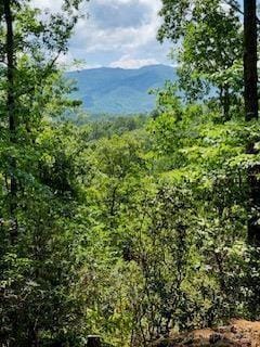 19 Marr Heights Unit 19, Bryson City, NC 28713