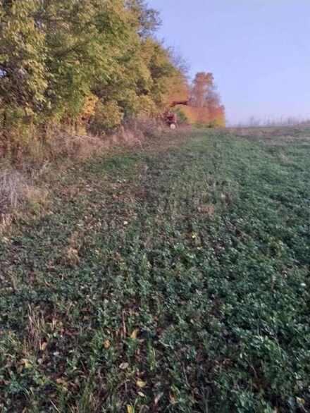 0 Lead Line Rd Unit 10047555, Centerville, IN 47330