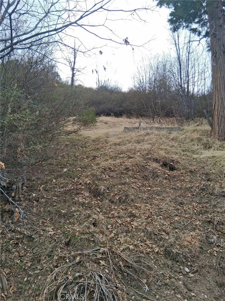 0 Pine Dr Unit IV25194111, Cedar Glen, CA 92321