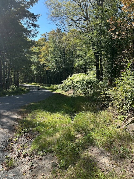 0 Hathaway Pond Rd, Tompkins, NY 13783