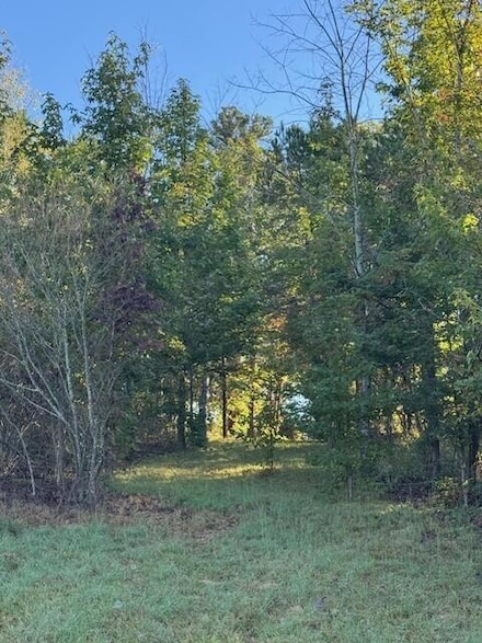 446 Patton School Rd, South Pittsburg, TN 37380