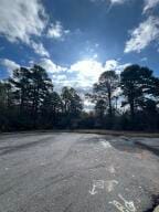 614 Castlegate Loop, Russellville, AR 72802