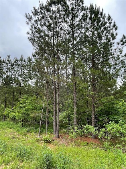 663 Timber Creek Trails South Xl, Broken Bow, OK 74728
