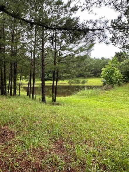 3460 E Georgia 220, Lincolnton, GA 30817