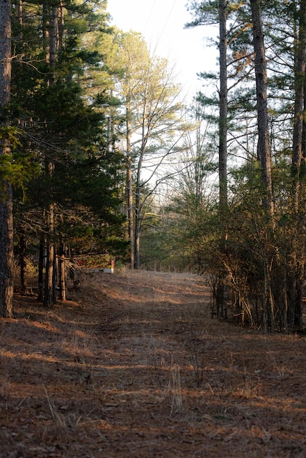 179 Polk County Road 169, Mena, AR 71953