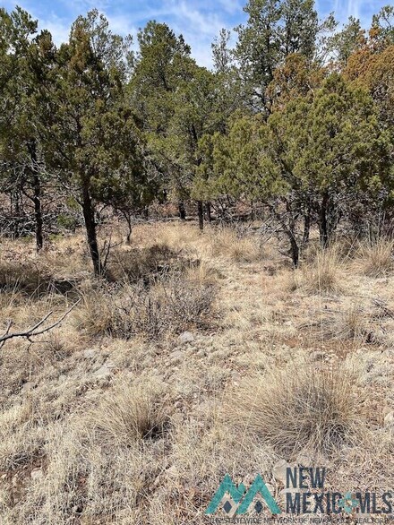 9 Bronco Dr, Timberon, NM 88350
