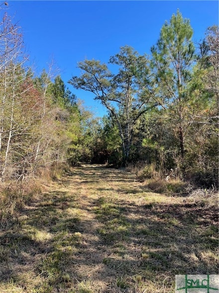 0 Hwy 17 N Unit 302134, Guyton, GA 31312