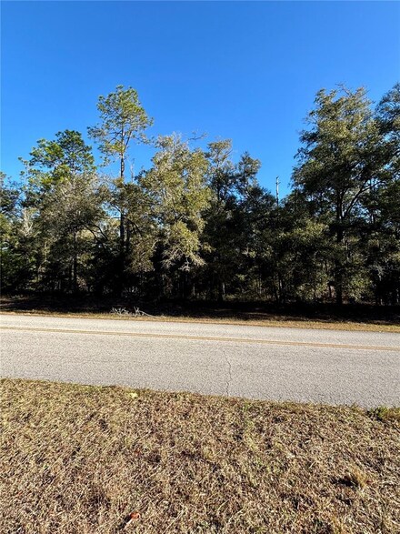 Lot 23 SW 102nd Street Rd, Dunnellon, FL 34432