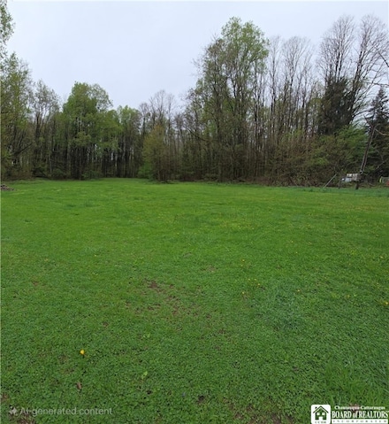 11 School St, Panama, NY 14767