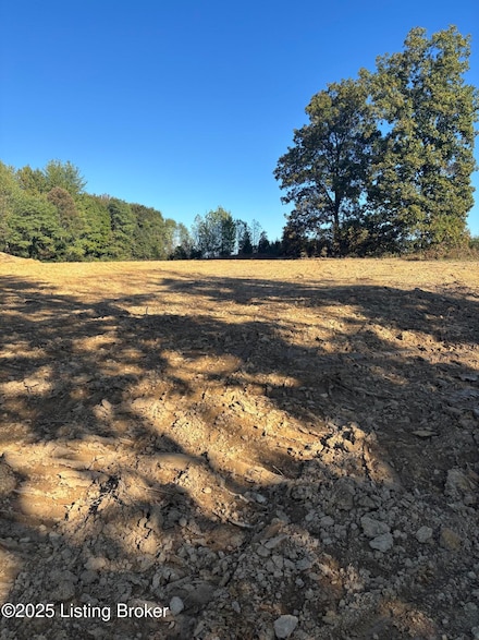 3352 Morton Ridge Rd Unit Lot 1B, Bedford, KY 40006