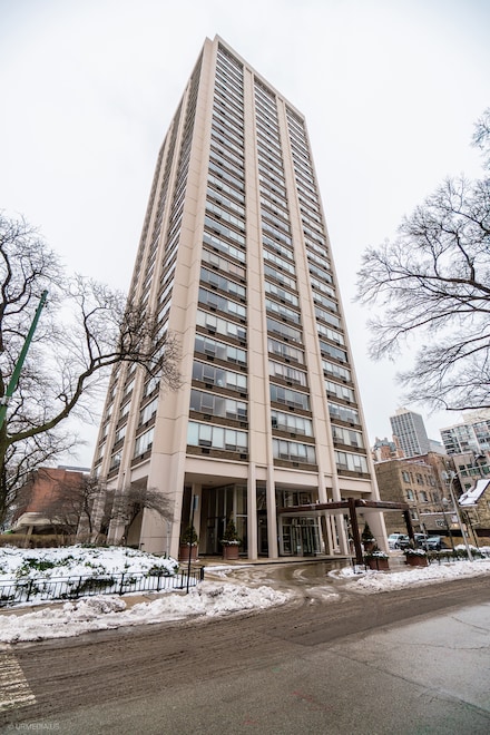 70 W Burton Place Unit 2905F, Chicago, IL 60610