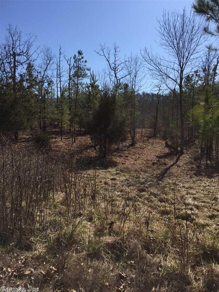 Lot 37 Brush Mountain Trail, Little Rock, AR 72122