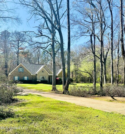 143 Timber Green Ln, Canton, MS 39046