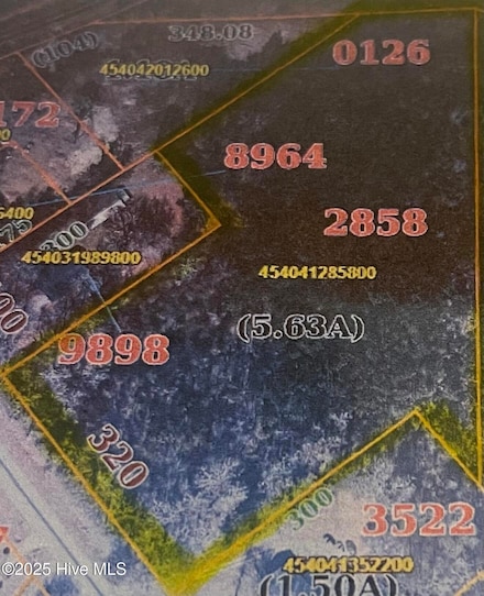 0 N Carolina 58, Trenton, NC 28585