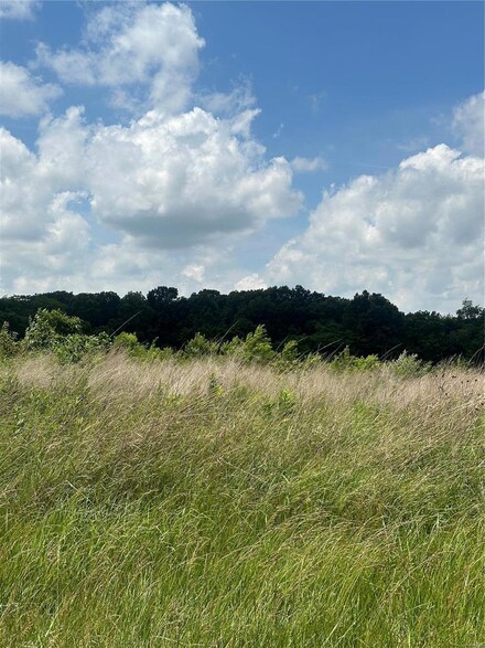 0 Rainmaker Trail, Butler, IL 62015