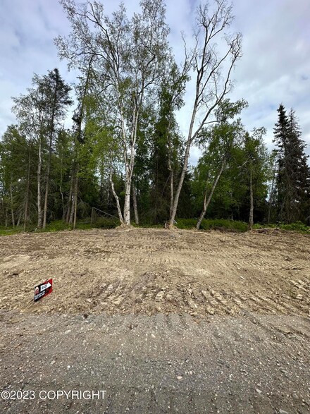 Lot 3 Immanuel Sub, Nikiski/North Kenai, AK 99635
