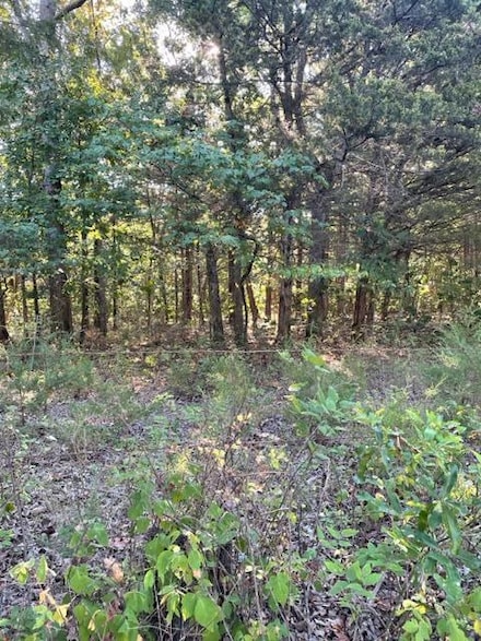 Tbd Cr 203, Wheatland, MO 65779