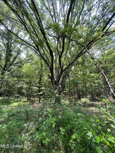 0 Robinson Springs Rd, Flora, MS 39071