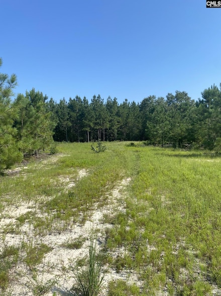 3099 Arcadia Rd, Bethune, SC 29009