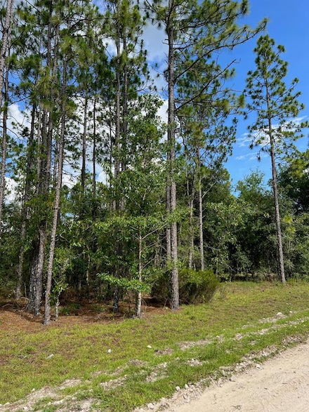 0 NE 138th Ave, Williston, FL 32696