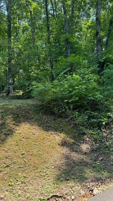 Lot 13 Michigan Avenue Rd NE, Cleveland, TN 37323